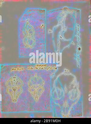 Phoca hispida, stampa la guarnizione inanellato (Pusa hispida o Phoca hispida), noto anche come il vaso guarnizione come netsik o nattiq dal Inuit e come Ньиэрпэ dal Yakut, è una guarnizione earless (famiglia: Phocidae) che abitano le regioni artiche e subartiche. La guarnizione cerchiati è una relativamente piccola guarnizione, raramente maggiore di 1,5 m di lunghezza con un segno distintivo di modellazione di macchie scure circondato da grigio chiaro anelli, quindi il suo nome comune. Essa è la più abbondante e la vasta tenuta di ghiaccio nell emisfero nord: compreso in tutta l'Oceano Artico, nel mare di Bering e di Okhotsk Mare a sud fino alla nort Foto Stock