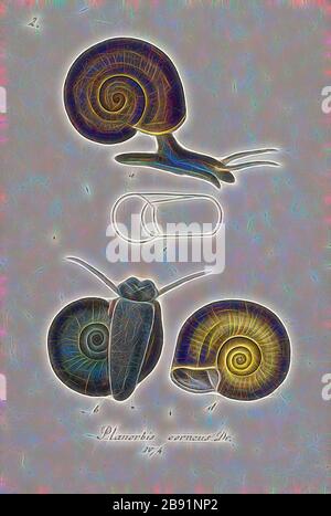 Planorbis corneo, Print, Planorbarius corneo, nome comune il grande ramshorn, è una specie relativamente grande di lumaca d'acqua dolce respirabile, un gasteropode acquatico pulmonato mollusco nella famiglia Planorbidae, le lumache del corno del montone, o piiorbide, Che hanno tutti conchiglie sinistral o sinistra-coiling., Reimagined da Gibon, disegno di calore allegro di luminosità e raggi di luce radiance. Arte classica reinventata con un tocco moderno. La fotografia ispirata al futurismo, che abbraccia l'energia dinamica della tecnologia moderna, del movimento, della velocità e rivoluziona la cultura. Foto Stock