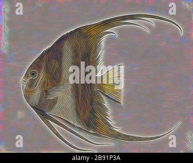 Platax teira, Print, Platax teira, conosciuto anche come pesce di bataia di teira, pesce di batpesce di palangora, pesce di pastorella di palangora, o pesce di batpesce di faccia rotondo è un pesce dall'Indo-Pacifico occidentale. Occasionalmente fa il relativo senso nel commercio dell'acquario. Cresce fino a 60 cm di lunghezza, 1700-1880, Reimagined by Gibon, disegno di calda luce allegra di luminosità e di radianza di raggi luminosi. Arte classica reinventata con un tocco moderno. La fotografia ispirata al futurismo, che abbraccia l'energia dinamica della tecnologia moderna, del movimento, della velocità e rivoluziona la cultura. Foto Stock
