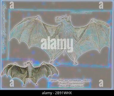 Pteropus ampexicaudatus, Print, Pteropus (suborder Yinpterochirtera) è un genere di megabati tra i più grandi al mondo. Sono comunemente noti come pipistrelli di frutta o volate volpi, tra gli altri nomi colloquiali. Vivono nei tropici e subtropici dell'Asia (compreso il subcontinente indiano), dell'Australia, dell'Africa orientale e di alcune isole oceaniche negli oceani Indiano e Pacifico. Ci sono almeno 60 specie estanti nel genere., 1700-1880, Reimagined da Gibon, disegno di calore allegro di luminosità e di radianza di raggi di luce. Arte classica reinventata con un tocco moderno. Fotografia Foto Stock