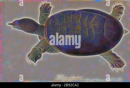 Trionyx japonicus, Print, Trionyx è un genere di tartarughe softshell appartenenti alla famiglia Trionychidae. In passato molte specie della famiglia sono state classificate in questo genere, ma oggi T. triunguis, la tartaruga africana o nile softshell, è l'unico softshell esistente ancora classificato come Trionyx. Le altre specie ancora assegnate a questo genere sono conosciute solo da fossili. T. triunguis è un piscivore acquatico relativamente grande., 1700-1880, Reimagined by Gibon, disegno di calore allegro di luminosità e raggi di luce radianza. Arte classica reinventata con un tocco moderno. Fotografia ispirata a fut Foto Stock