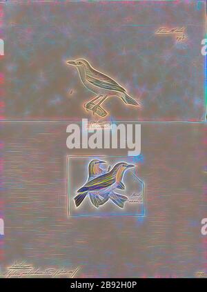 Zosterops palpebrosa, Print, l'occhio bianco indiano (Zosterops palpebrosus), ex occhio bianco orientale, è un piccolo uccello passerino della famiglia degli occhi bianchi. E' un allevatore residente in un bosco aperto nel subcontinente indiano. Essi foraggio in piccoli gruppi, alimentando su nettare e piccoli insetti. Essi sono facilmente identificati dal caratteristico anello bianco dell'occhio e dalle parti superiori giallastre. La gamma si estese in precedenza verso est verso il sud-est asiatico, l'Indonesia e la Malesia, ma quando i taxa in queste regioni furono assegnati ad altre specie, il nome inglese fu cambiato., 1700-1880, Reimagined da Gibon Foto Stock