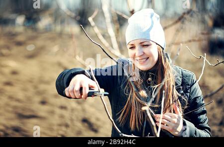 Donna giardinaggio e la cura per frutteto in primavera. Foto Stock