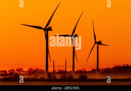 Biggleswade, turbine eoliche all'alba, marzo 2020 Foto Stock