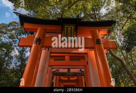 Un'immagine delle porte torii al santuario di Fushimi Inari Taisha. Foto Stock