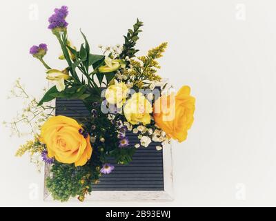 Disposizione floreale di primavera in viola e giallo con rose e altri fiori su un bordo bianco e nero con sfondo bianco, piatto Foto Stock