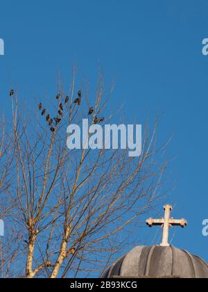 Campanile di Ayia Efimia Chiesa Greco Ortodossa, Kadikoy, Istanbul, Turchia Foto Stock