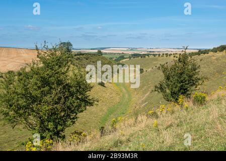 Vista estiva della valle asciutta di Deepdale vicino a Wharram Percy nelle Yorkshire Wolds dal percorso a lunga distanza Yorkshire Wolds Way Foto Stock