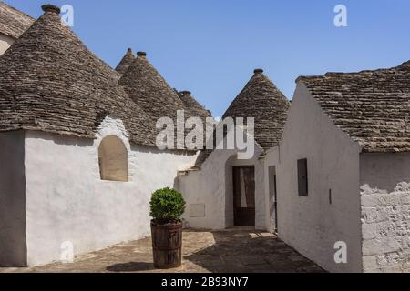 Tipica casa storica della città di Alberobello. Italia Foto Stock