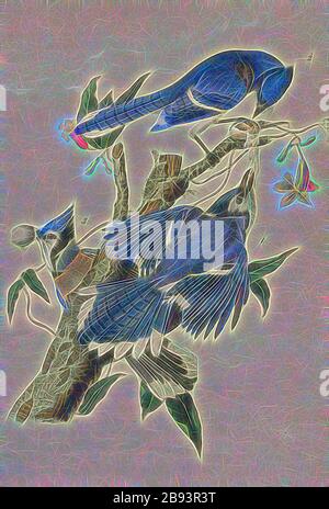 Blue Jay - Trumpetflower bignonia radicans, Blue Jay (Cyanocitta cristata, Garrulus cristatus), Tromba americana (Campsis radicans), firmato: J.J. Audubon, J.T. Bowen, litografia, Pl. 231 (Vol 4), Audubon, John James (disegnato), Bowen, J. T. (lith.), 1856, John James Audubon: Gli uccelli d'America: Da disegni fatti negli Stati Uniti e nei loro territori. New York: Audubon, 1856, Reimaged by Gibon, design di calda allegra luce di luminosità e raggi di luce radianza. Arte classica reinventata con un tocco moderno. Fotografia ispirata al futurismo, che abbraccia l'energia dinamica della tec moderna Foto Stock
