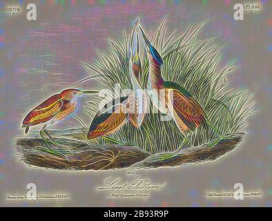 Least Bittern, American Miniature Bittern (Ixobrychus exilis, Ardea exilis), firmato: J.J. Audubon, J.T. Bowen, litografia, Pl. 366 (Vol 6), Audubon, John James (disegnato), Bowen, J. T. (lith.), 1856, John James Audubon: Gli uccelli d'America: Da disegni fatti negli Stati Uniti e nei loro territori. New York: Audubon, 1856, Reimaged by Gibon, design di calda allegra luce di luminosità e raggi di luce radianza. Arte classica reinventata con un tocco moderno. La fotografia ispirata al futurismo, abbracciando l'energia dinamica della tecnologia moderna, del movimento, della velocità e rivoluzionando la cultura. Foto Stock