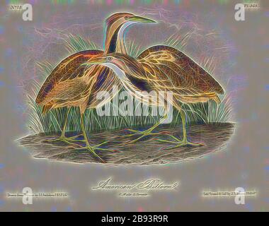 Bittaro americano, bittaro nordamericano (Botaurus lentiginosus, Ardea lentiginosa), firmato: J.J. Audubon, J.T. Bowen, litografia, Pl. 365 (vol 6), Audubon, John James (disegnato), Bowen, J. T. (lith.), 1856, John James Audubon: Gli uccelli d'America: Da disegni fatti negli Stati Uniti e nei loro territori. New York: Audubon, 1856, Reimaged by Gibon, design di calda allegra luce di luminosità e raggi di luce radianza. Arte classica reinventata con un tocco moderno. La fotografia ispirata al futurismo, abbracciando l'energia dinamica della tecnologia moderna, del movimento, della velocità e rivoluzionando la cultura. Foto Stock