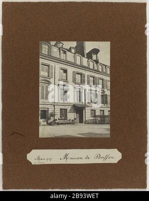 Marzo 1907 Casa di Buffon. Vista della Casa della scienza Georges Louis Leclerc de Buffon, Parigi [?] Vue de la maison du scientifique Georges Louis Leclerc de Buffon, Parigi. Anonima fotographie. Marte 1907. Tigre au gélatino-bromure d’argent. Parigi, musée Carnavalet. Foto Stock