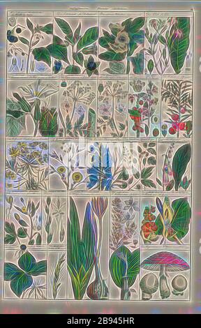 Piante velenose, varie specie di piante velenose, Taf. XI, Heinrich Rudolf Schinz: Abbildungen aus der Naturgeschichte. Zürich: Bei Friedrich Schulthess, [1824], Reimagined by Gibon, design di calore allegro di luminosità e raggi di luce radianza. Arte classica reinventata con un tocco moderno. La fotografia ispirata al futurismo, che abbraccia l'energia dinamica della tecnologia moderna, del movimento, della velocità e rivoluziona la cultura. Foto Stock