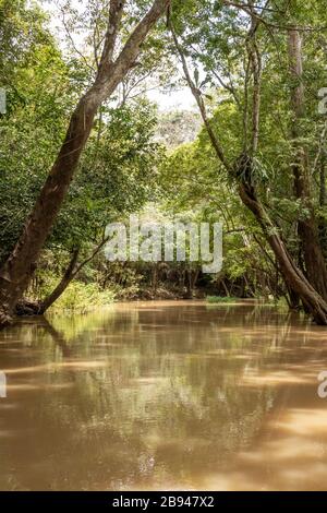 Fiumi e corsi d'acqua all'interno dell'Amazzonia in Manaus Brasile Foto Stock