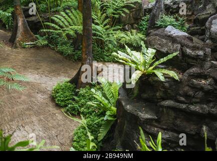 Preistorici paesaggio artificiale da Singapore famoso giardino botanico Foto Stock