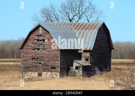 Un reliquio di Barn rimane in piedi in UN pascolo Foto Stock