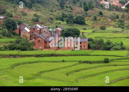 Terrazze di riso e villaggi tipici sull'altopiano tra Antsirabe e Antananarivo Foto Stock