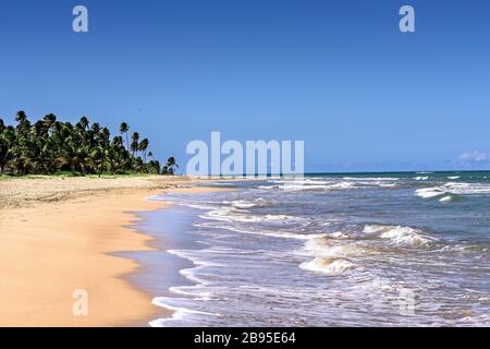 Bahia Beach e l'Oceano Atlantico a Puerto Rico Foto Stock