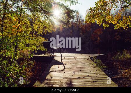 Una panca pubblica in un parco vicino ad un lago con il sole rende un luogo tranquillo per la meditazione Foto Stock