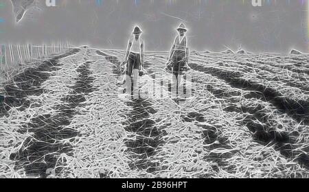 Negativo - Geelong District, Victoria, circa 1925, lavoratori raccogliendo cipolle., Reimagined da Gibon, design di calore allegro di luminosità e raggi di luce radianza. Arte classica reinventata con un tocco moderno. La fotografia ispirata al futurismo, che abbraccia l'energia dinamica della tecnologia moderna, del movimento, della velocità e rivoluziona la cultura. Foto Stock