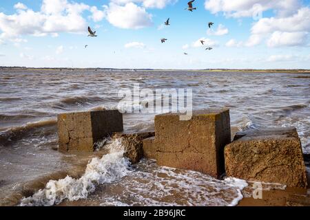 Blocchi di cemento anti-invasione accanto al fiume Deben, Bawdsey Ferry, Suffolk, Regno Unito. Foto Stock