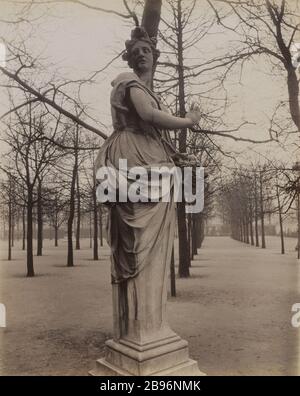 SCULTURA DI DONNA ALLEGORIE STAGIONE PRIMAVERA / POMONE / FLORA DELLO SCULTORE SLODTZ. FRANCOIS BAROIS. GIARDINO TUILERIES, 1 ° distretto, PARIGI François Barois (1656-1726). "Pomone, ou le printemps". Jardin des Tuileries. Parigi (Ier arr.), 1907. Photographie d'Eugène Atget (1857-1927). Parigi, musée Carnavalet. Foto Stock