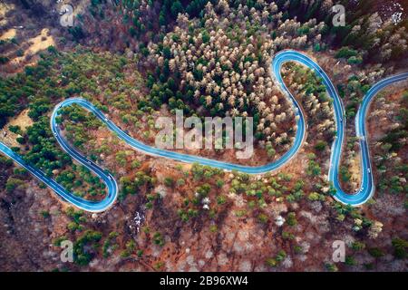 La vista aerea di strada tortuosa da alto passo di montagna con gli alberi in Transilvania, Romania, vista su strada curva da drone in autunno-inverno Foto Stock