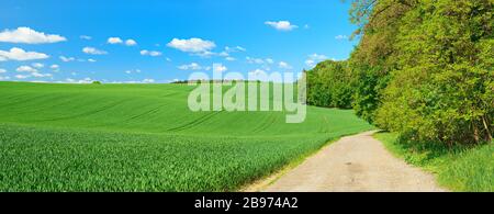 Campo percorso ai margini di una foresta attraverso il paesaggio culturale in primavera, campi di mais verde, cielo blu con cumuli nuvole, vicino a Hermsdorf Foto Stock