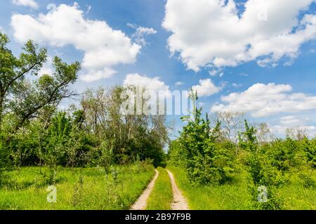 strada sterrata attraverso il prato sotto il bel cielo con le nuvole Foto Stock