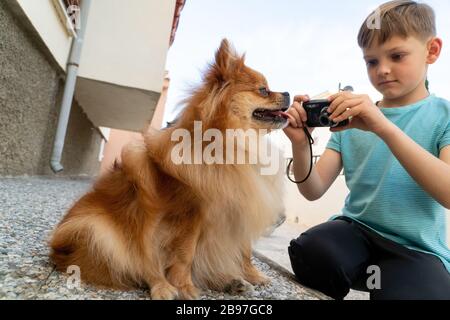 Adorabile ragazzino che scatta foto del suo cane pomerano con fotocamera digitale Foto Stock