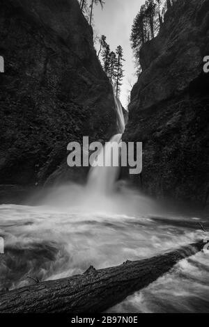 Cascata dell'Oregon alle cascate di Wahclella Foto Stock