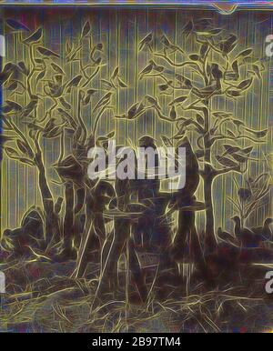 Scimmie e uccelli al museo delle Montagne Rocciose della signora Maxwell, W. G. Chamberlain (americano, 1815 - 1910), 1875, stampa in argento albume, reimagined by Gibon, disegno di una calda e allegra luce luminosa di luminosità e di radianza dei raggi. Arte classica reinventata con un tocco moderno. La fotografia ispirata al futurismo, abbracciando l'energia dinamica della tecnologia moderna, del movimento, della velocità e rivoluzionando la cultura. Foto Stock