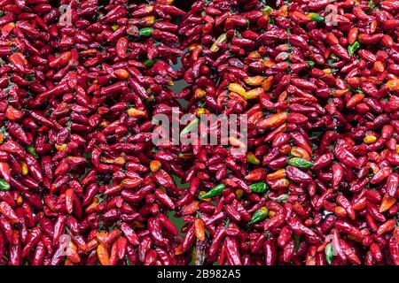 peperoncino rosso secco caldo peperoni Foto Stock