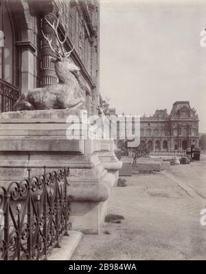 PALAZZO DEL LOUVRE - Pavilion de Marsan 'Palais du Louvre, porte du pavillon de Marsan'. Parigi (Ier arr.). Photographie d'Eugène Atget (1857-1927). Parigi, musée Carnavalet. Foto Stock