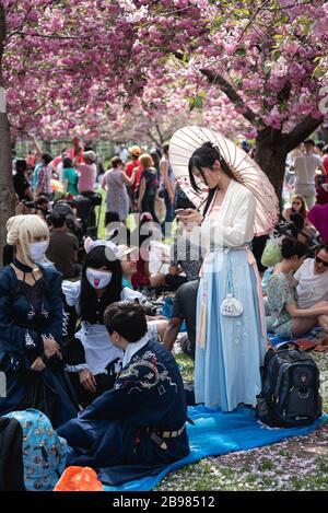 La primavera è balzata al Brooklyn Botanical Garden per il suo festival annuale di fiori di ciliegio. Foto Stock