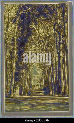 Ragazzi Cliff - Lord Percy. 5 km circa da Warwick. Avenue of Scotch Firs - 400 anni - Vista dalla strada pubblica - da cui..., costruttore sconosciuto, britannico, circa 1865, stampa in argento albume, Reimagined by Gibon, design di calda allegra luce incandescente di luminosità e raggi di luce radianza. Arte classica reinventata con un tocco moderno. La fotografia ispirata al futurismo, abbracciando l'energia dinamica della tecnologia moderna, del movimento, della velocità e rivoluzionando la cultura. Foto Stock