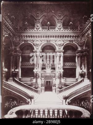 OPERA GRAND STAIRS l'Opéra, grande calier. Parigi (IXème arr.). Photographie de Charles Lansiaux (1855-1939). Parigi, musée Carnavalet. Foto Stock