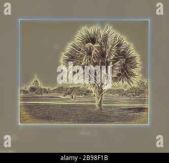 Lucknow, Palm Tree Study, Samuel Bourne (Inglese, 1834 - 1912), Lucknow, India, 1865–1866, stampa in argento albume, 23 × 28.8 cm (9 1/16 × 11 5/16 pollici), Reimagined by Gibon, design di calda allegra luce incandescente di luminosità e raggi di luce radianza. Arte classica reinventata con un tocco moderno. La fotografia ispirata al futurismo, abbracciando l'energia dinamica della tecnologia moderna, del movimento, della velocità e rivoluzionando la cultura. Foto Stock