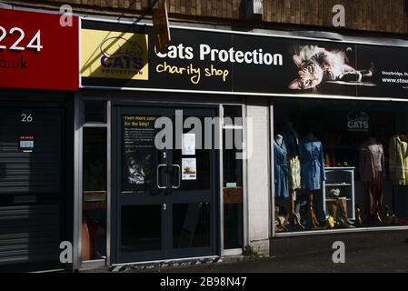 Parte anteriore del negozio Cat Protection Charity. Chiuso a causa di Pandemia di Coronavirus. Stourbridge. Midlands occidentali. REGNO UNITO Foto Stock