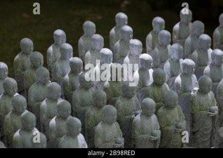 Kamakura, Giappone - 19 maggio 2019: File di statue in pietra Jizo Bodhisattva nel tempio Hase-Dera di Kamakura, Giappone. Jizo è speciale per le donne incinte A. Foto Stock