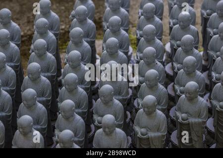 Kamakura, Giappone - 19 maggio 2019: File di statue in pietra Jizo Bodhisattva nel tempio Hase-Dera di Kamakura, Giappone. Jizo è speciale per le donne incinte A. Foto Stock