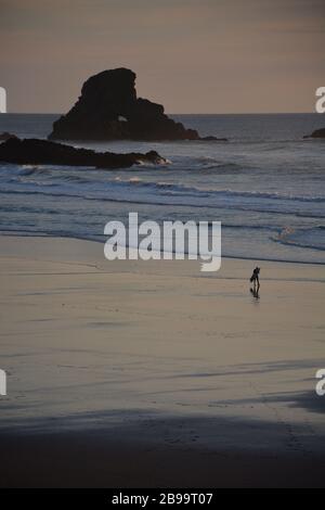 Un solista al tramonto a Indian Beach, Ecola state Park, Oregon Coast, Stati Uniti. Foto Stock