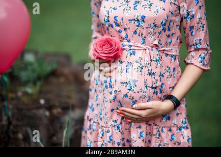 Donna incinta che tocca il dosso mentre tiene rosa ragazza in attesa Foto Stock