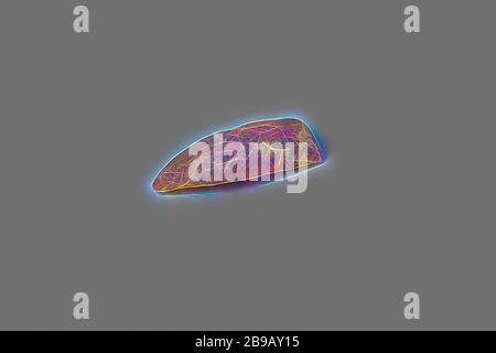 Frammento di una coppa di tubi dal relitto del rivenditore dell'India orientale Hollandia, pipe, Bowl, Annet, Dutch East India Company, Hollandia (nave), anonima, Paesi Bassi, 1700 - in o prima del 13-ago-1743, creta di tubi, l 4.2 cm × w 1.8 cm × d 0.6 cm, Reimagined by Gibon, design di calda e allegra luce di luminosità e raggi di luce radianza. Arte classica reinventata con un tocco moderno. La fotografia ispirata al futurismo, abbracciando l'energia dinamica della tecnologia moderna, del movimento, della velocità e rivoluzionando la cultura. Foto Stock