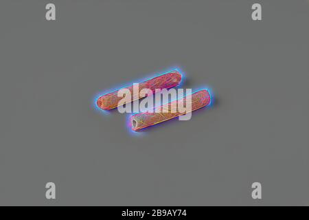 Frammenti di fusto di tubi dal relitto della nave delle Indie Orientali Hollandia, voce di pipe, frammenti, Annet, Compagnia Olandese delle Indie Orientali, Hollandia (nave), anonima, Olanda, 1700 - in o prima del 13-ago-1743, argilla di pipe, l 6 cm Ã- d 0.6 cm, Reimagined by Gibon, design di calda e allegra luce di luminosità e di radianza dei raggi di luce. Arte classica reinventata con un tocco moderno. La fotografia ispirata al futurismo, abbracciando l'energia dinamica della tecnologia moderna, del movimento, della velocità e rivoluzionando la cultura. Foto Stock