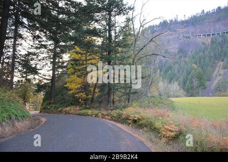 La Cape Horn Road alla fine del percorso circolare di Cape Horn sulla gola del fiume Columbia nello stato di Washington, Stati Uniti Foto Stock