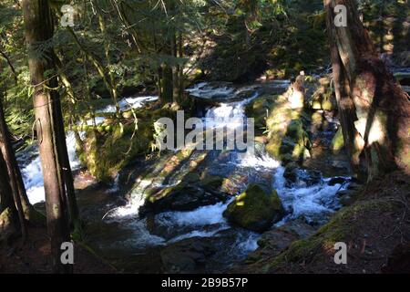 Panther Creek Falls, Gifford Pinchot National Forest, Washington state, USA Foto Stock