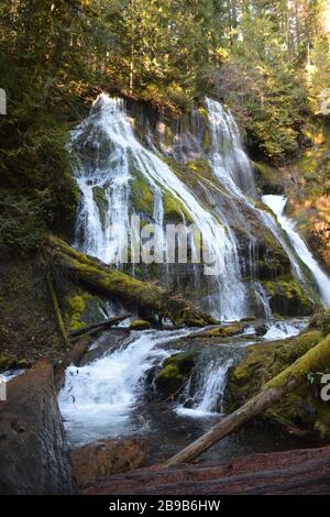 Panther Creek Falls, Gifford Pinchot National Forest, Washington state, USA Foto Stock