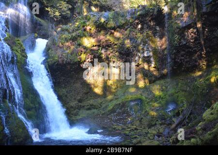 Panther Creek Falls, situato vicino a Carson, all'uscita di Wind River Road, vicino a Carson, nella Gifford Pinchot National Forest, Washington state, USA. Foto Stock